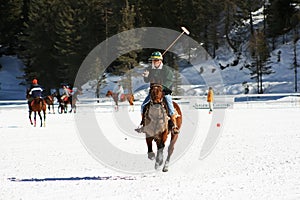 Cortina winter polo cup 2008