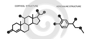 Cortisol and adrenaline icons. Hydrocortisone and epinephrine chemical molecular structure. Stress related hormones