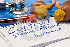 Cortisol glucocorticoid hormone diagnostic concept photo. Figure of adrenal glands cortex with kidneys which produces this stero