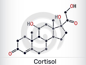Cortisol, hydrocortisone steroid molecule. Chemical structure. Vector