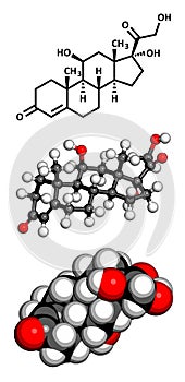 Cortisol (hydrocortisone) stress hormone, molecular model