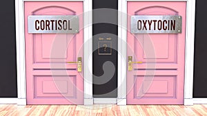 Cortisol or Oxytocin - making a choice