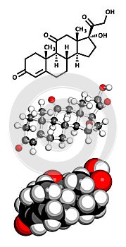 Cortisone stress hormone, molecular model photo