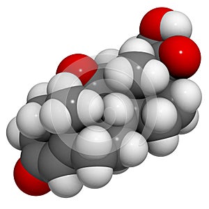 Cortisone stress hormone molecule. Atoms are represented as spheres with conventional color coding: hydrogen (white), carbon (grey