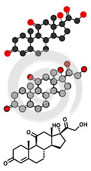 Cortisone stress hormone molecule. Stylized 2D renderings and conventional skeletal formula.