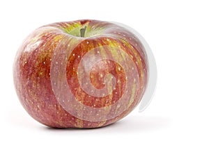 Cortland Apple
