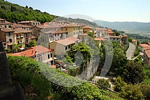 Cortona Hillside photo