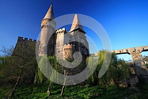 Corvinesti Castle