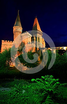 Corvinesti Castle