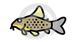 cory catfish color icon animation
