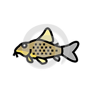 cory catfish color icon vector illustration