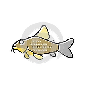 cory catfish color icon vector illustration