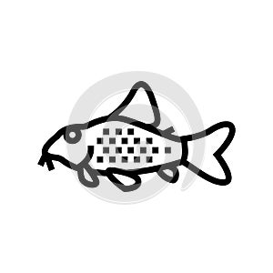 cory catfish line icon vector illustration