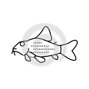 cory catfish line icon vector illustration