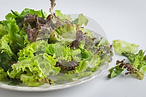 Cos lettuce, green oak, red chorus and other vegetables