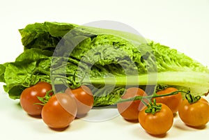 cos lettuce and vine tomato