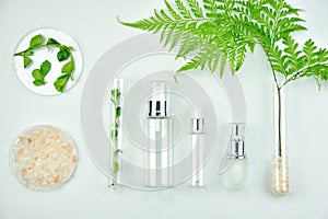 Cosmetic bottle containers with green herbal leaves, Blank label package for branding mock-up