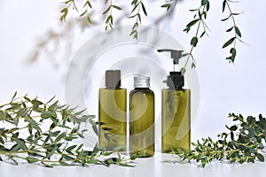 Cosmetic bottle containers packaging with green herbal leaves in shadow and light effect.