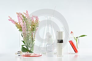 Cosmetic bottle containers with pink herbal leaves and scientific glassware, Blank label package for branding mock-up