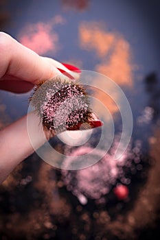 Cosmetic brush and crushed eyeshadows and rouge on a blurred abstract background