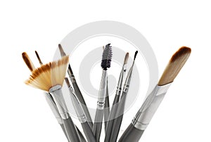 cosmetic brushes