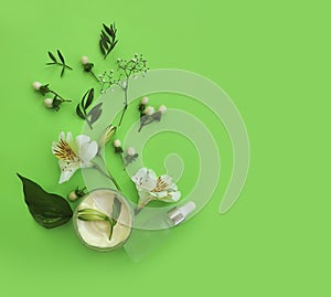Cosmetic cream, flower on a colored background