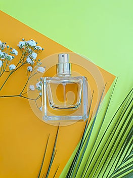 Cosmetic cream, flower on a colored background