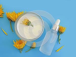 Cosmetic cream, flower on a colored background