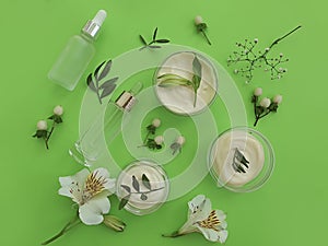 Cosmetic cream, flower on a colored background hygiene