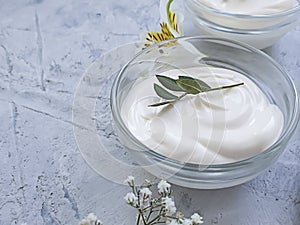 Cosmetic cream, flower on a concrete background