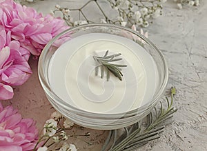 Cosmetic cream, flower  on a concrete background