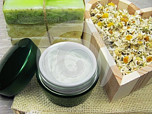 Cosmetic cream for face care and daisy flowers natual soap