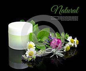 Cosmetic cream with herbs