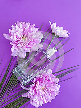 Cosmetic cream, spring flower on a colored background