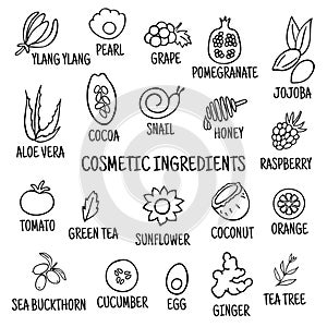 Cosmetic ingredients. Hand-drawn icons of herbs, fruits, vegetables, flowers, oils. Collection of vector icons