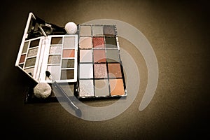 Cosmetic makeup facial set of colours for women with different complements