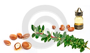 Cosmetic means: authentics oriental bottles with cosmetic oil, argan nuts and green leaves of argania spinosa tree on