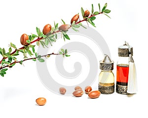 Cosmetic means: authentics oriental bottles with cosmetic oil, argan nuts and green leaves of argania spinosa tree on