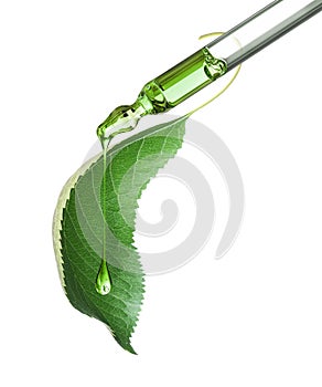 Cosmetic pipette with green leaf close-up isolated on a white background