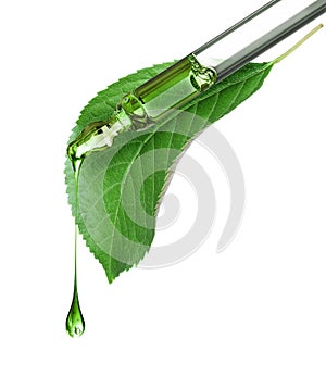 Cosmetic pipette with green leaf close-up on a white background