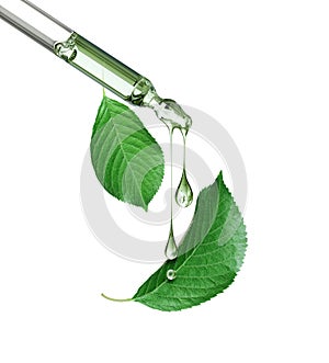 Cosmetic pipette with green leaves close-up on a white background