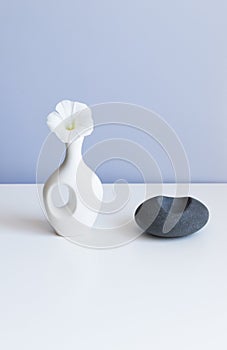 cosmetic product mock up with white boxes and vase