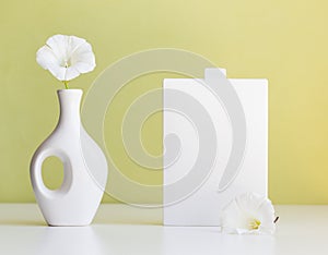 cosmetic product mock up with white boxes and vase on light green background