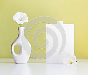 cosmetic product mock up with white boxes and vase on light green background