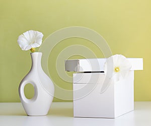 cosmetic product mock up with white boxes and vase on light green background