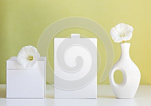 cosmetic product mock up with white boxes and vase on light green background