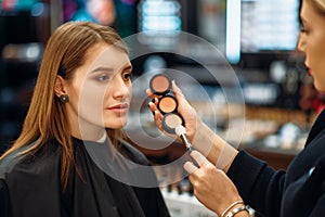 Cosmetician and female client in makeup shop