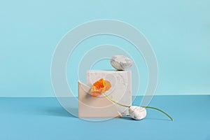 Cosmetics abstract composition with white blank bottle, marble, natural stones and flowers