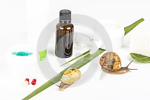 Cosmetics made with snail slime. Very healthy and organic products