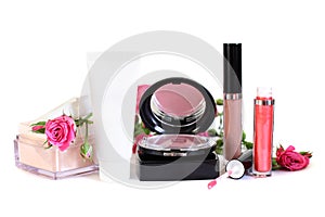 Cosmetics - makeup powder, cream, blush